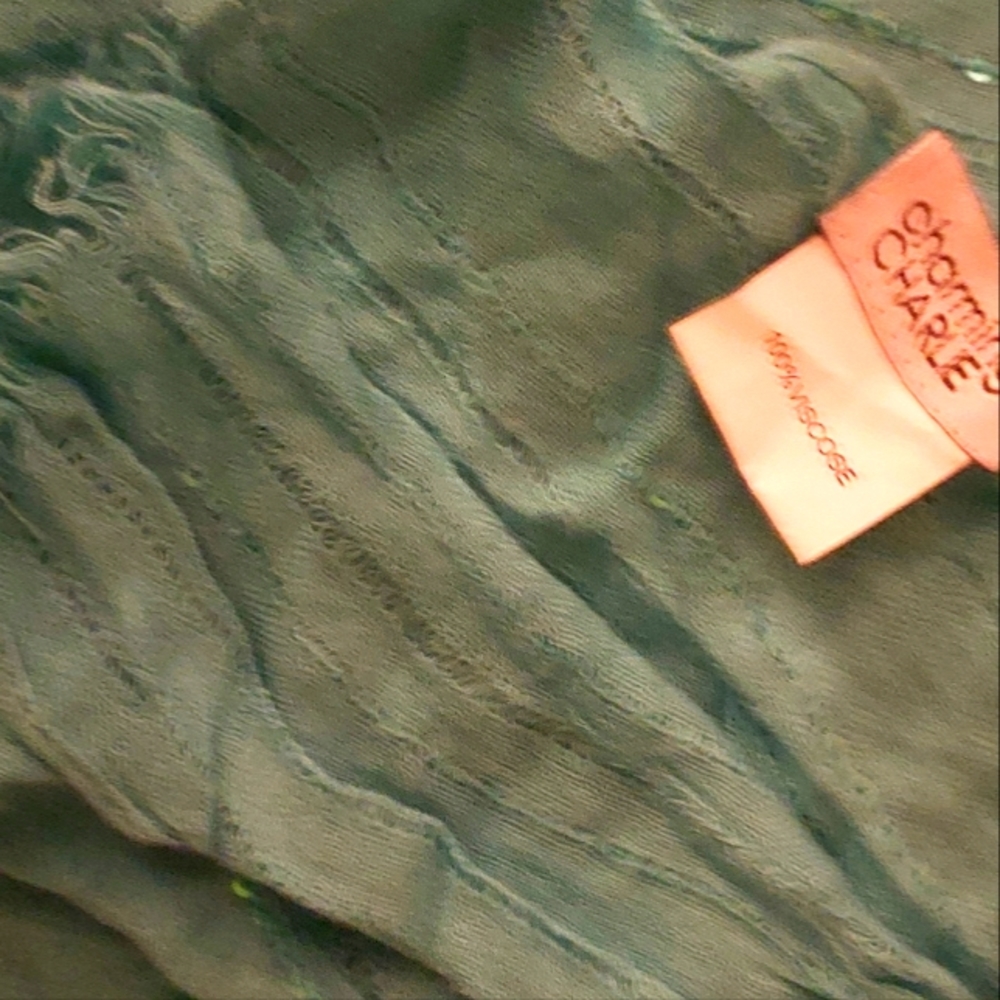 Charming Charlie Scarf